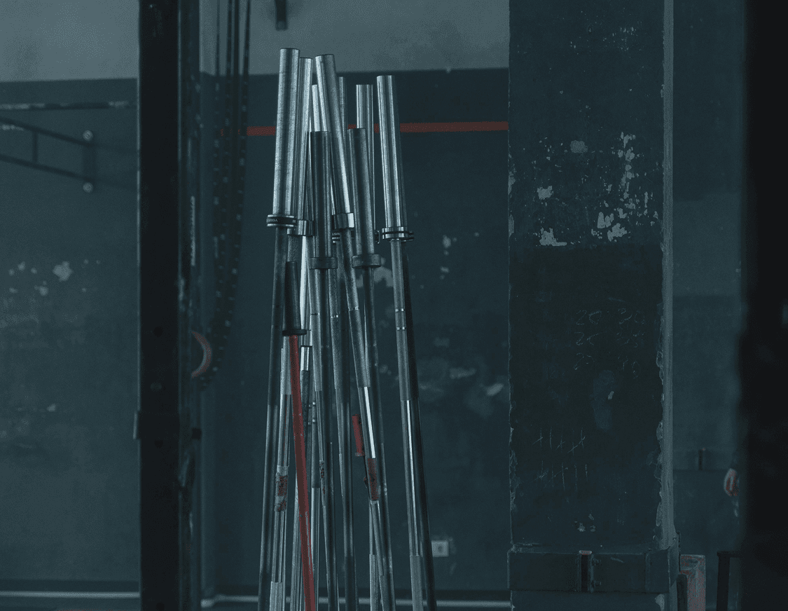 Different barbell types side by side showing Olympic, women's, and trap bar