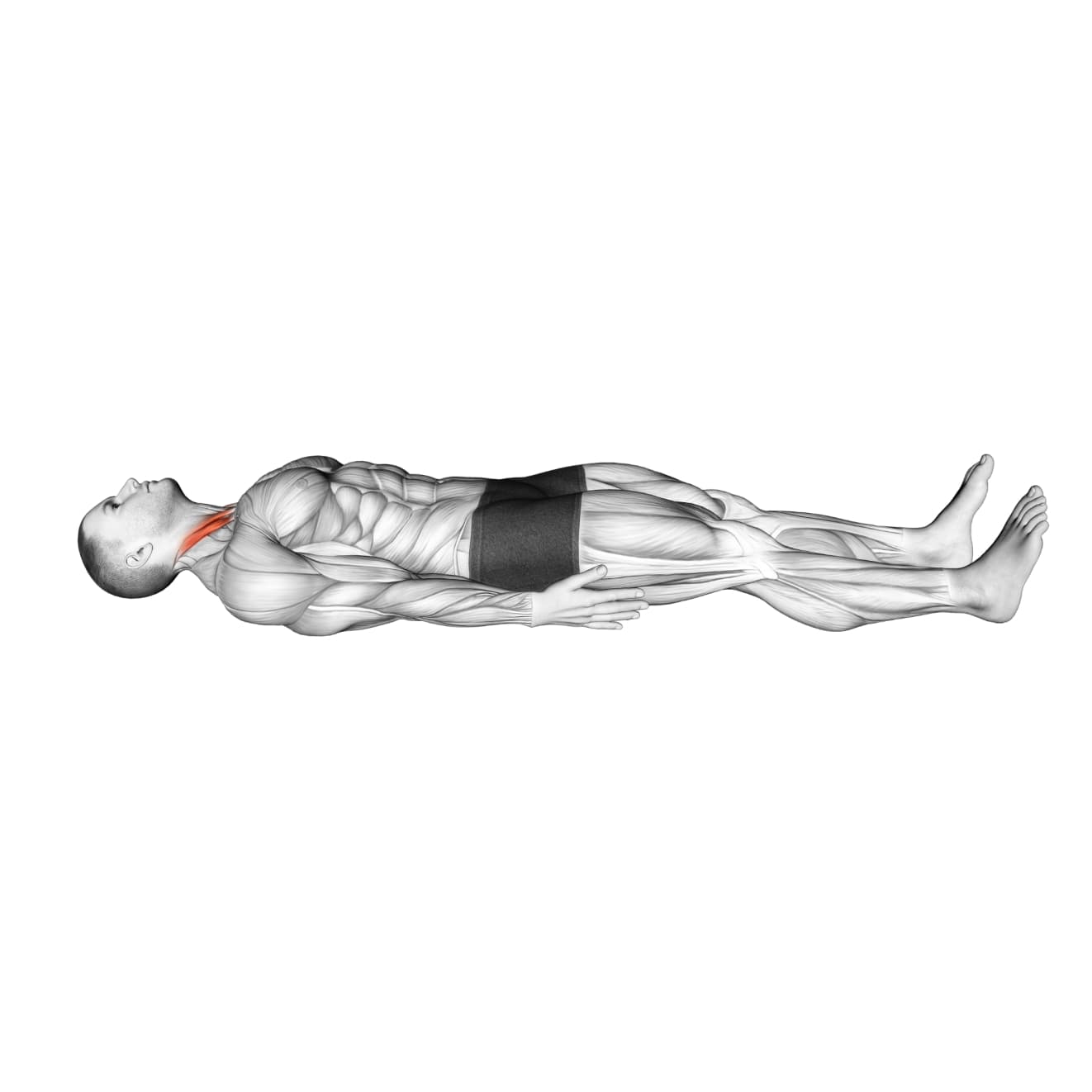 Lying Chin Tuck with bodyweight - neck exercise demonstration step 1