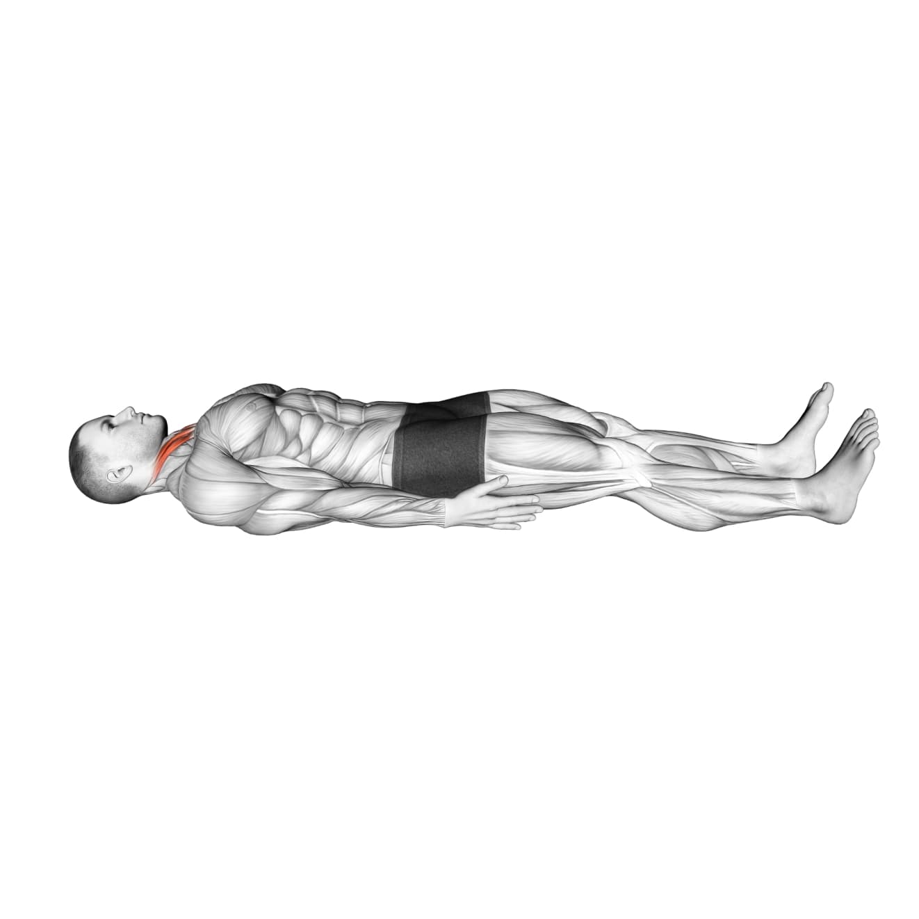 Exercise preview