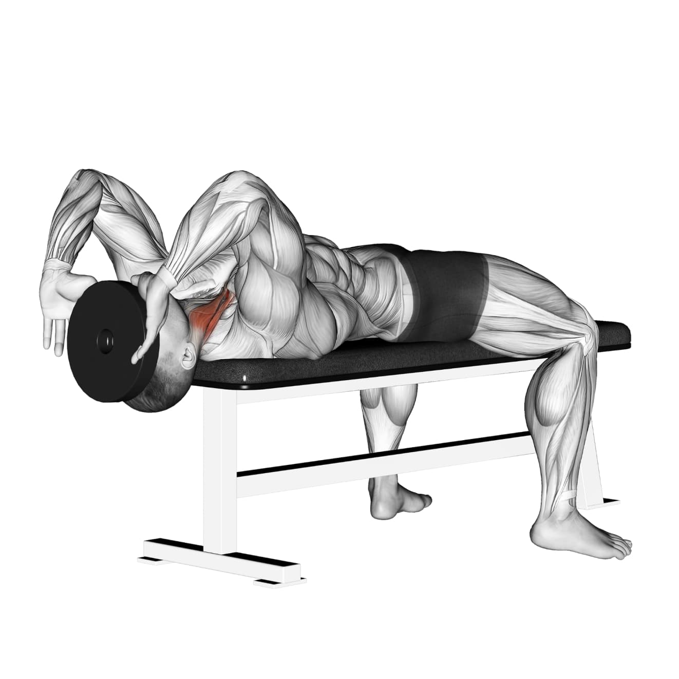 Weighted Lying Neck Flexion with other - neck exercise demonstration step 1