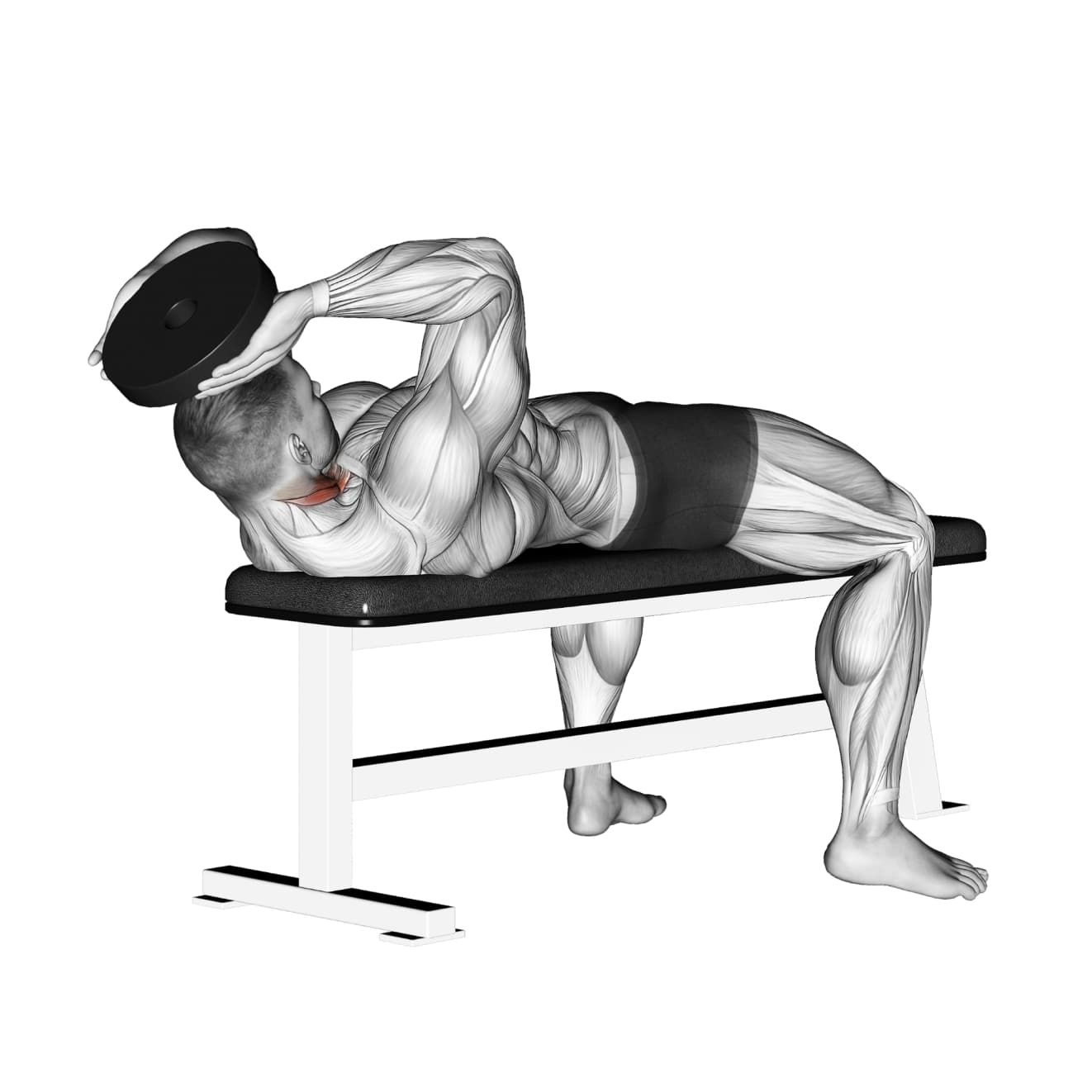 Exercise preview