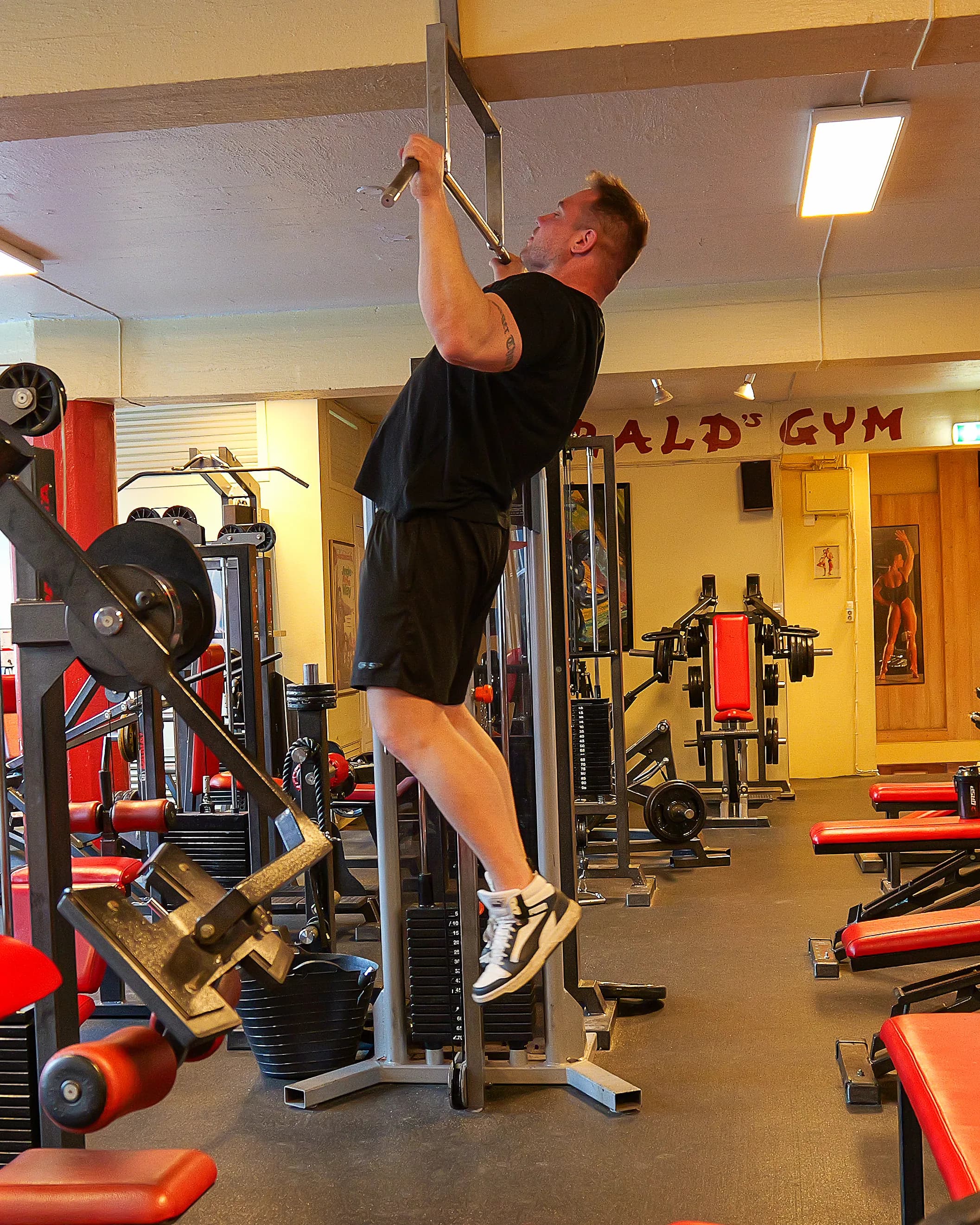 Legs / Back / Triceps