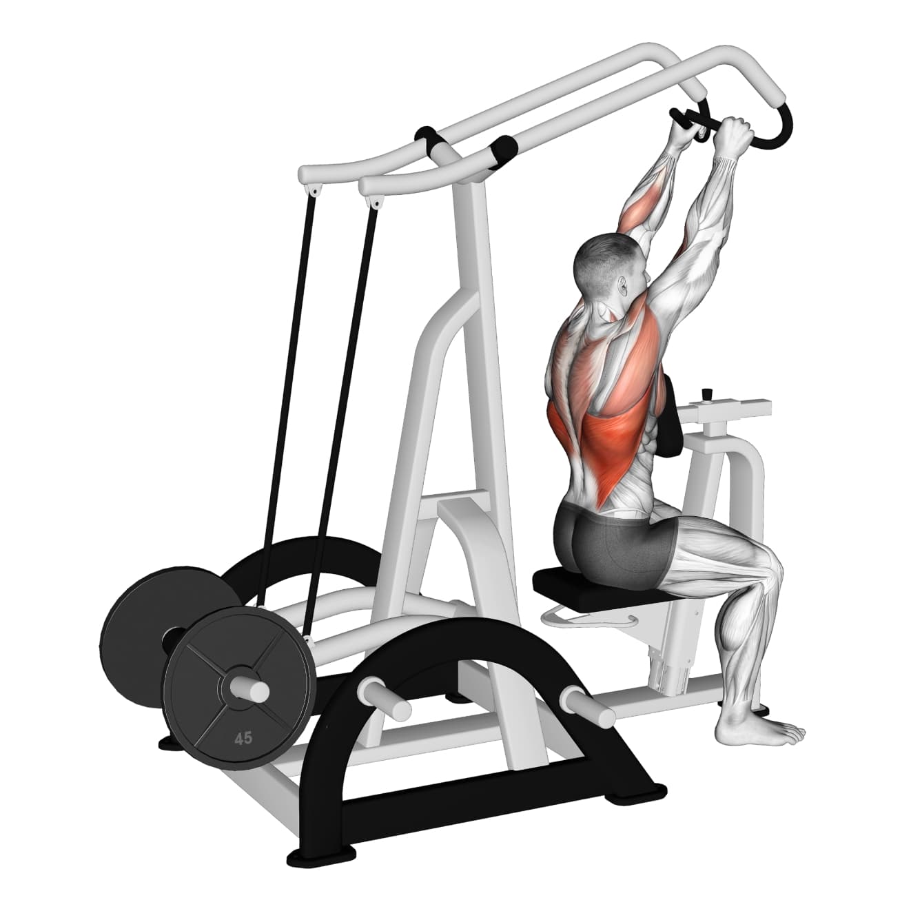 Machine High Row with machine - lats exercise demonstration step 1