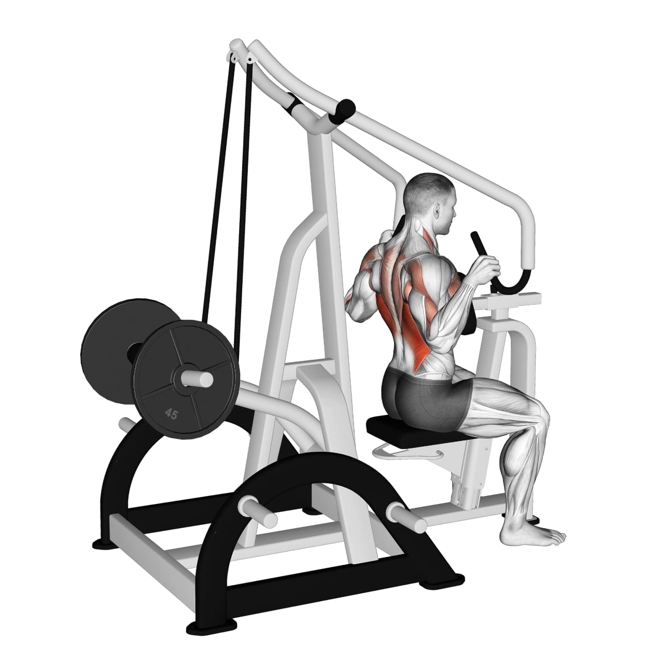 Machine High Row with machine - lats exercise demonstration step 2