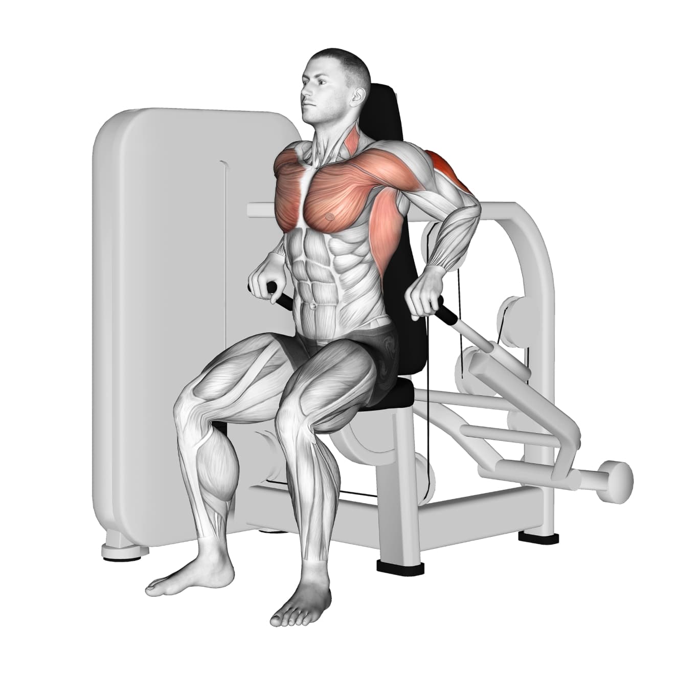 Seated Machine Dip with machine - triceps exercise demonstration step 1