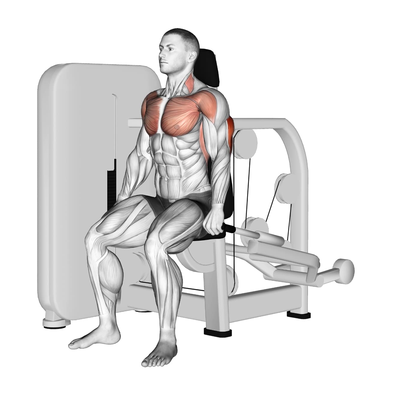 Seated Machine Dip with machine - triceps exercise demonstration step 2