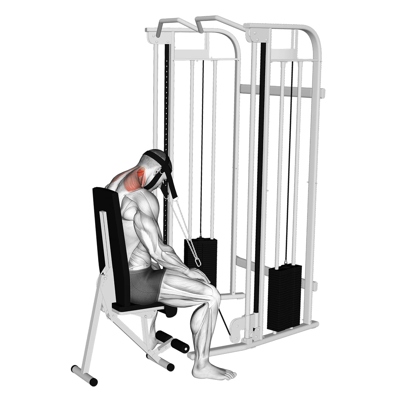 Seated Cable Neck Extension with cable - neck exercise demonstration step 1