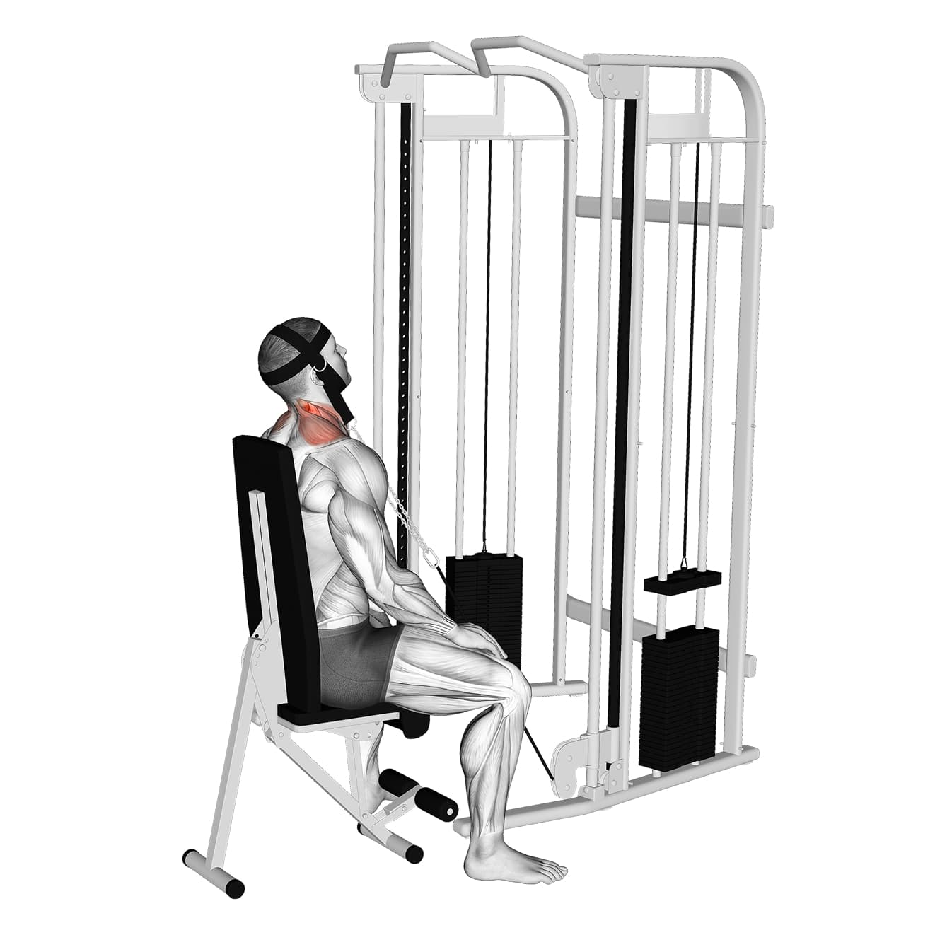 Exercise preview