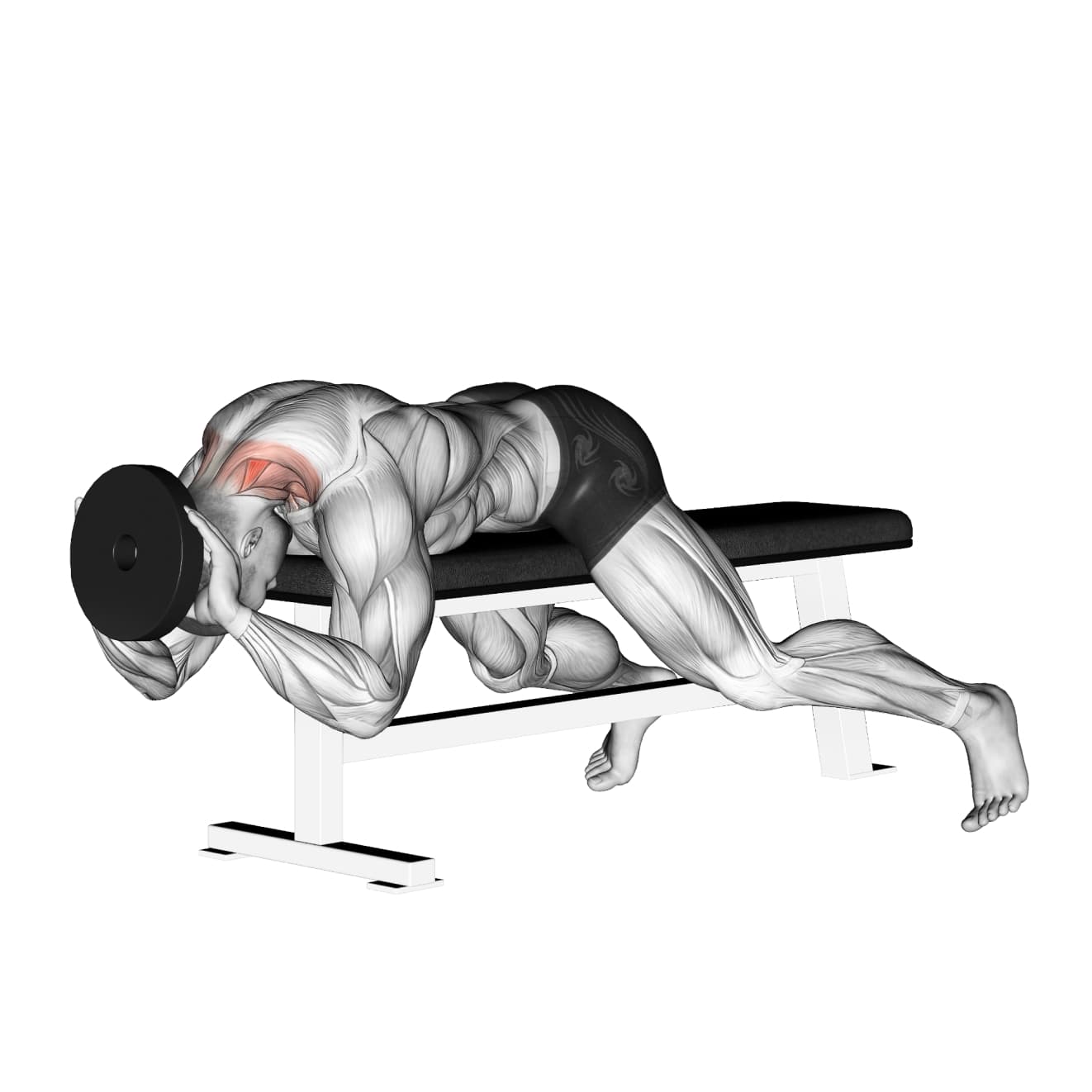 Weighted Lying Neck Extension with other - neck exercise demonstration step 1