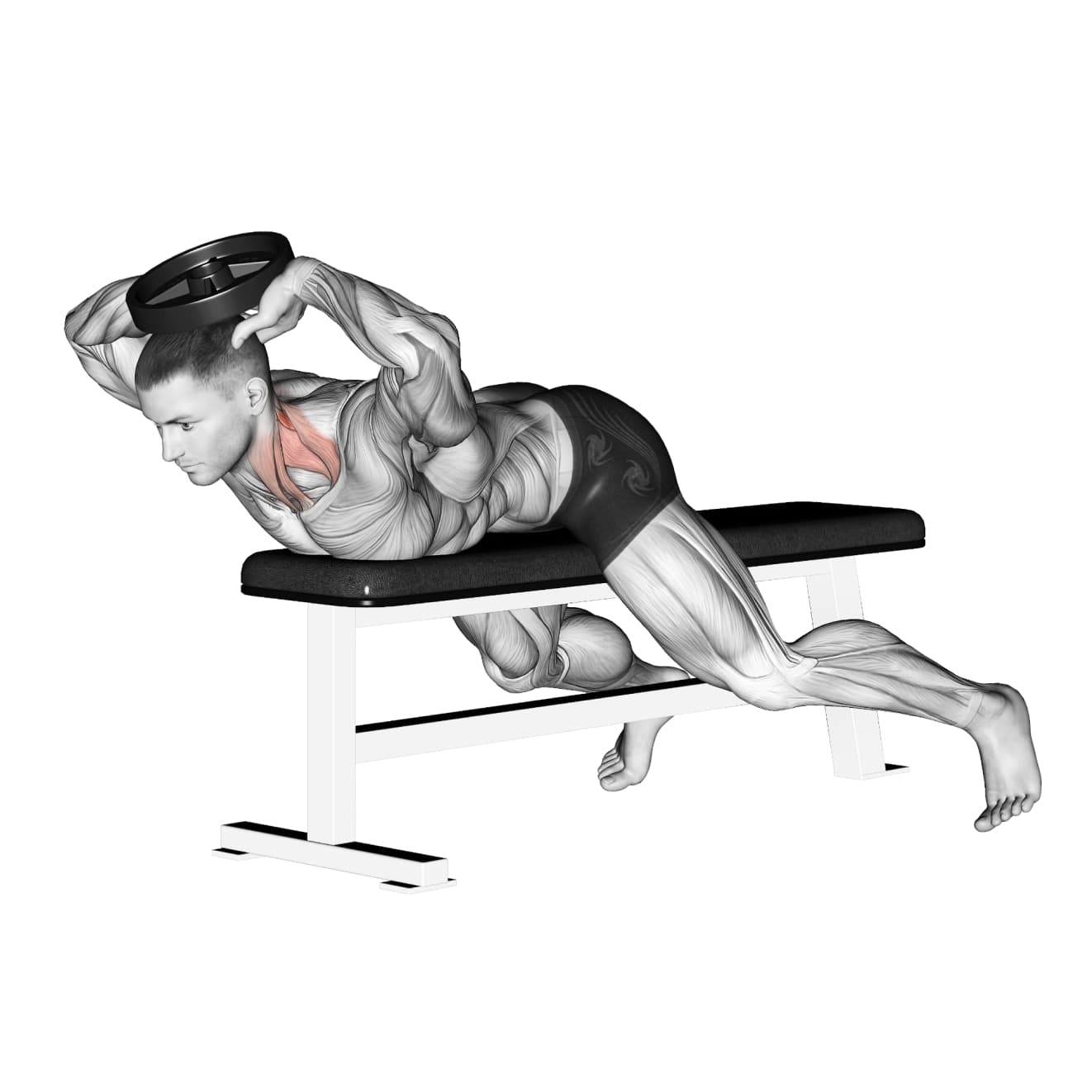 Exercise preview
