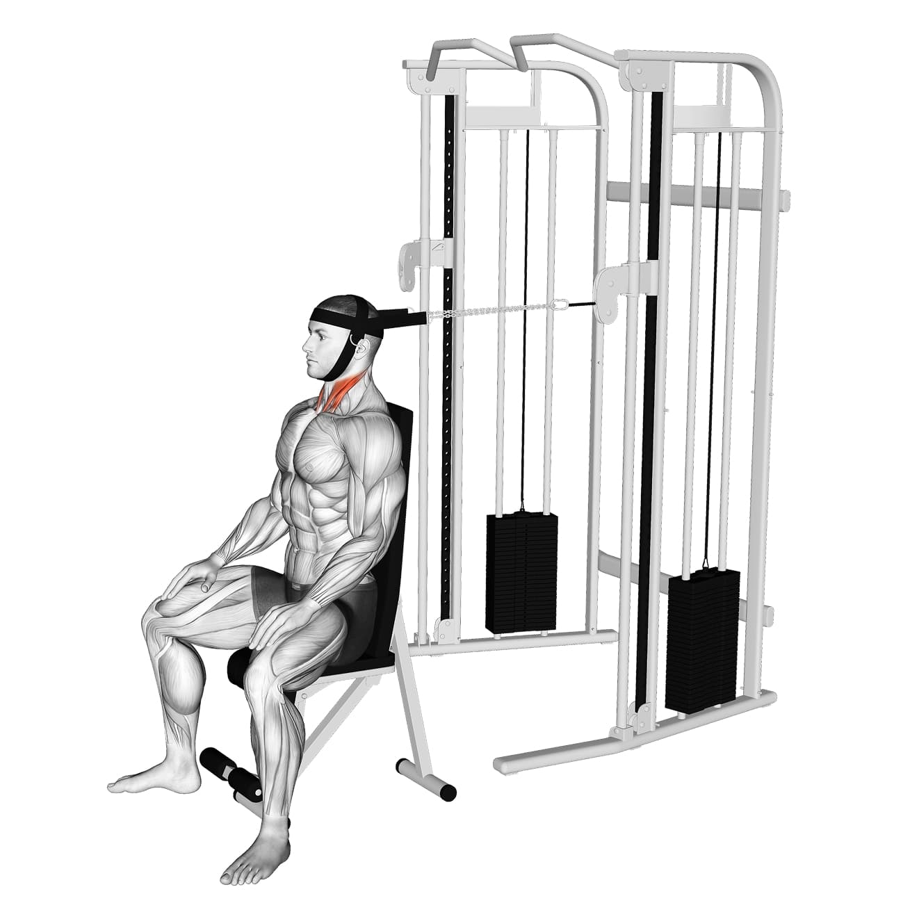 Seated Cable Neck Flexion with cable - neck exercise demonstration step 1