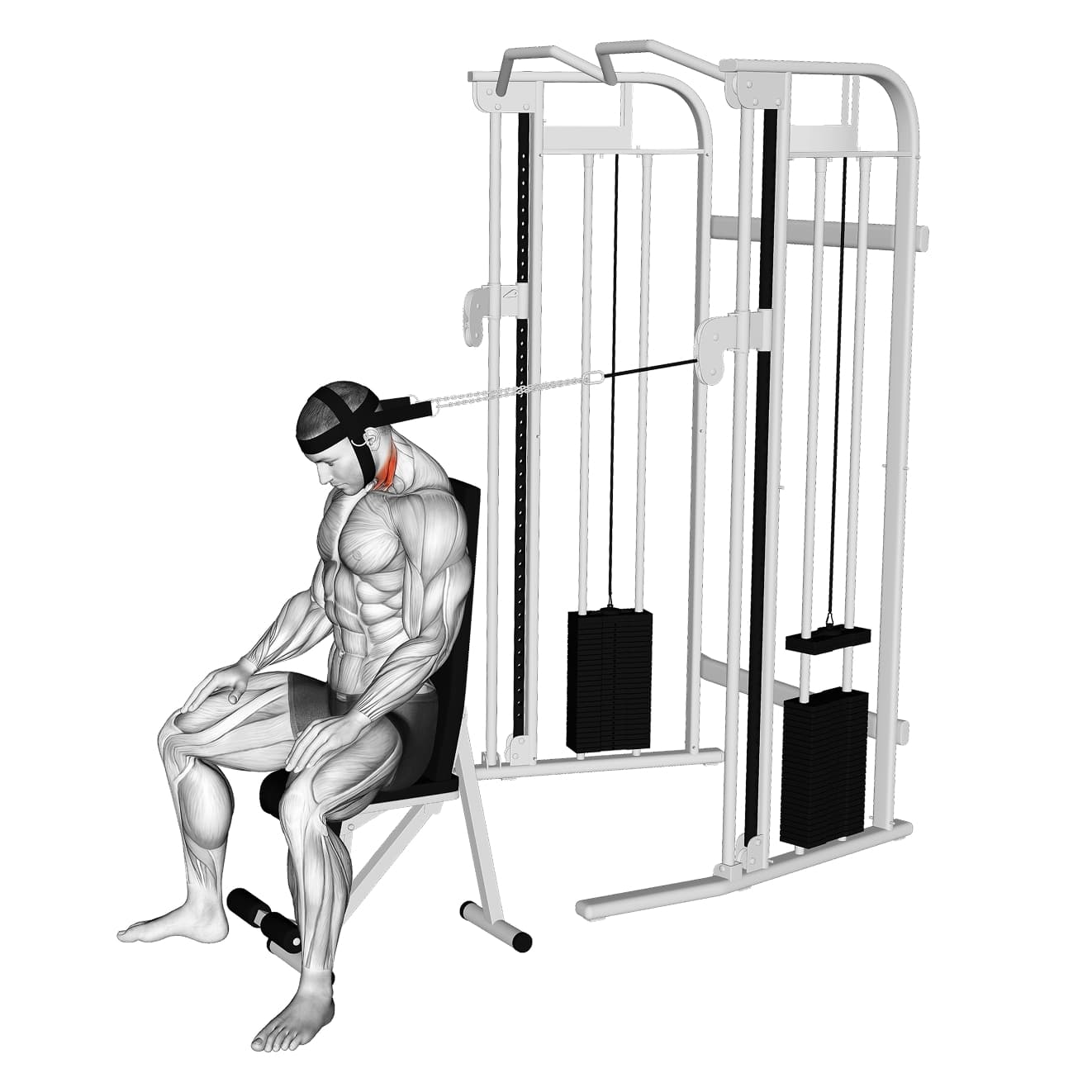 Exercise preview
