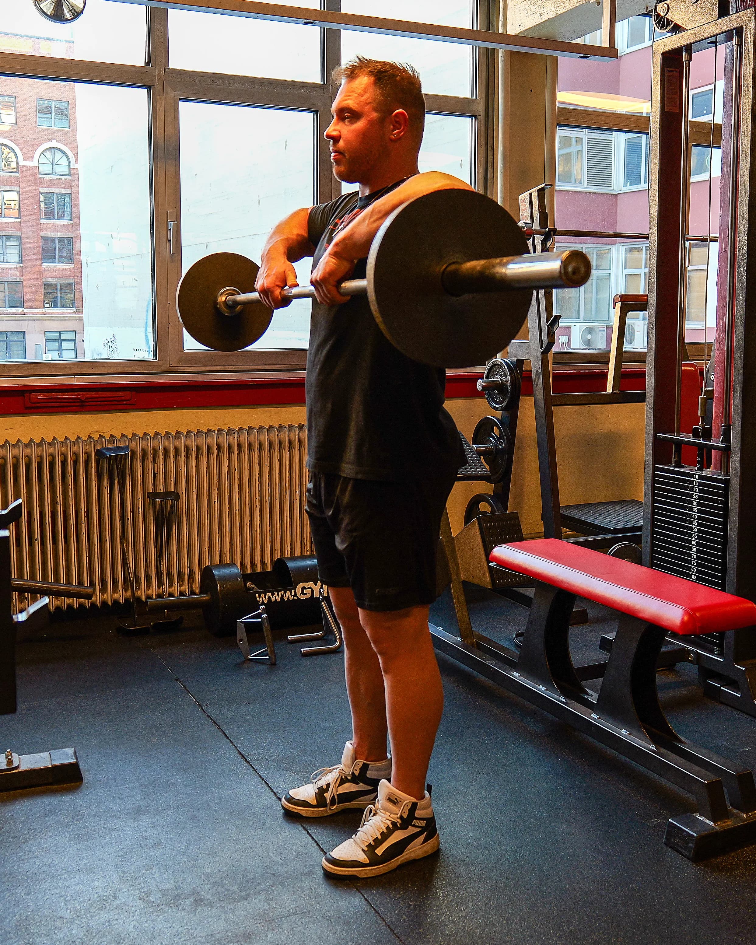Shoulders / Back
