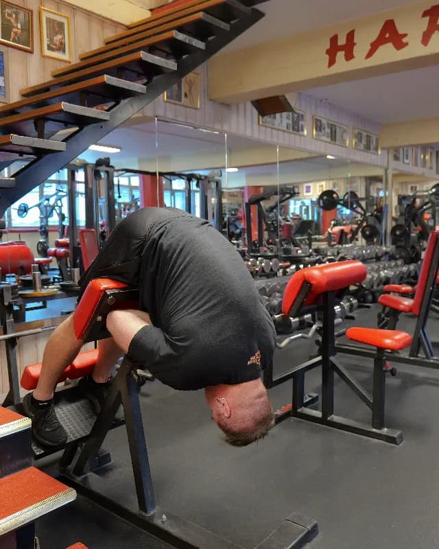 Glutes / Lower Body