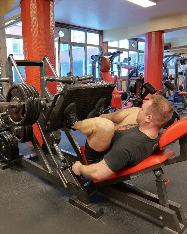 Quads / Hams / Glutes