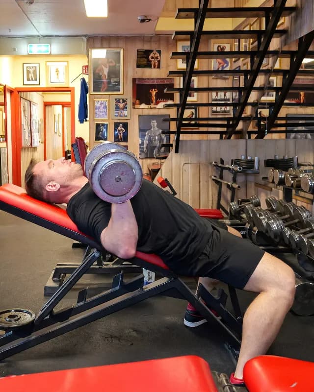 Chest / Triceps