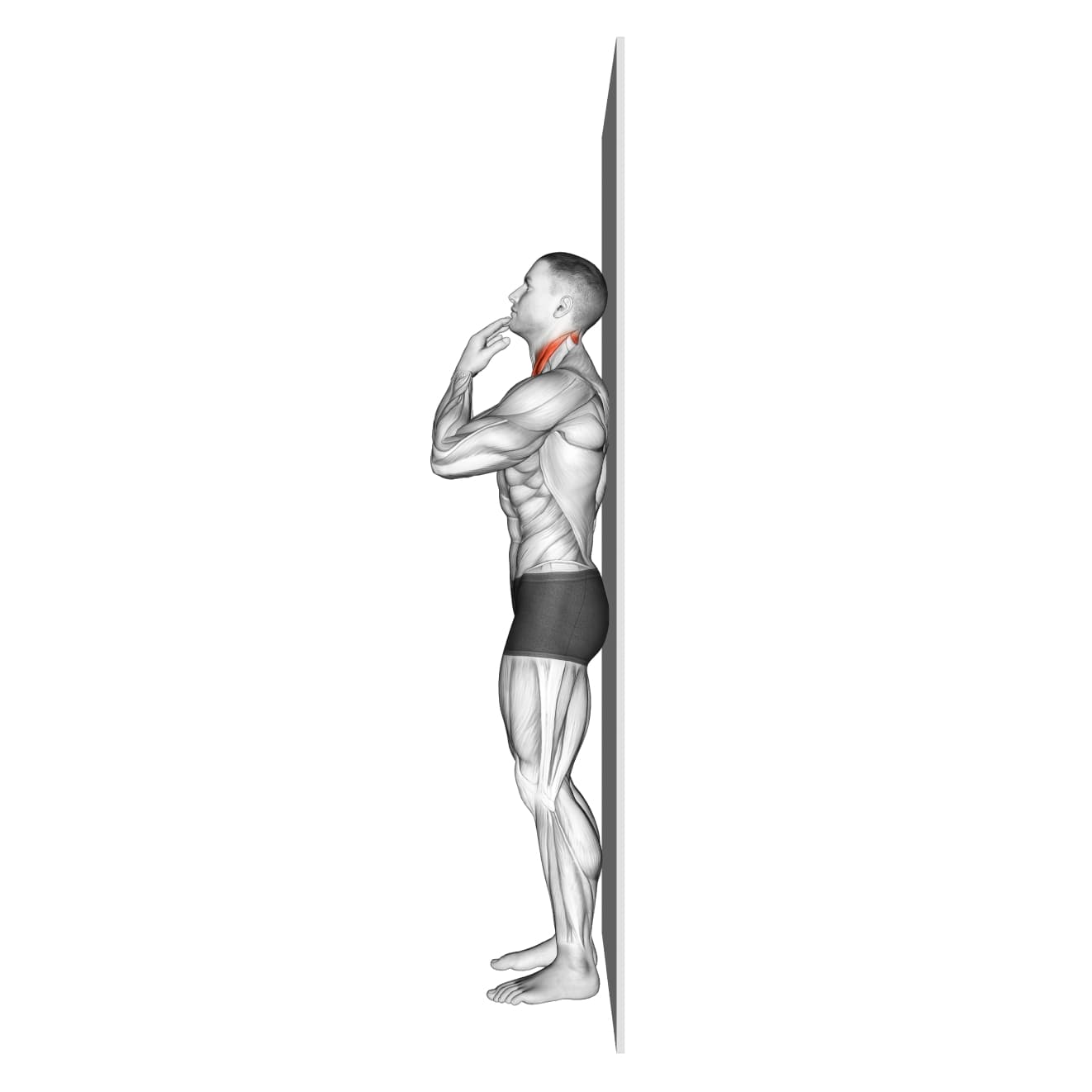 Assisted Chin Tuck with bodyweight - neck exercise demonstration step 1
