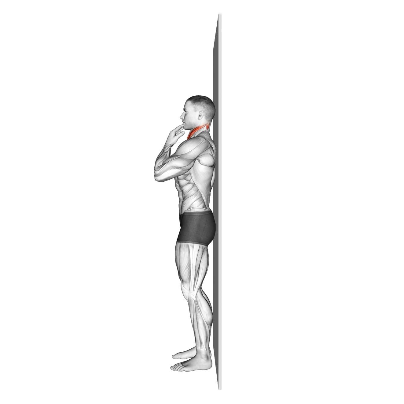 Assisted Chin Tuck with bodyweight - neck exercise demonstration step 2