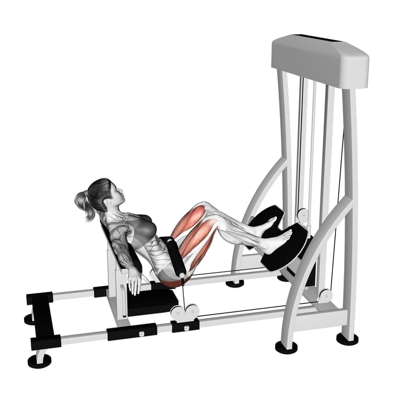 Exercise preview