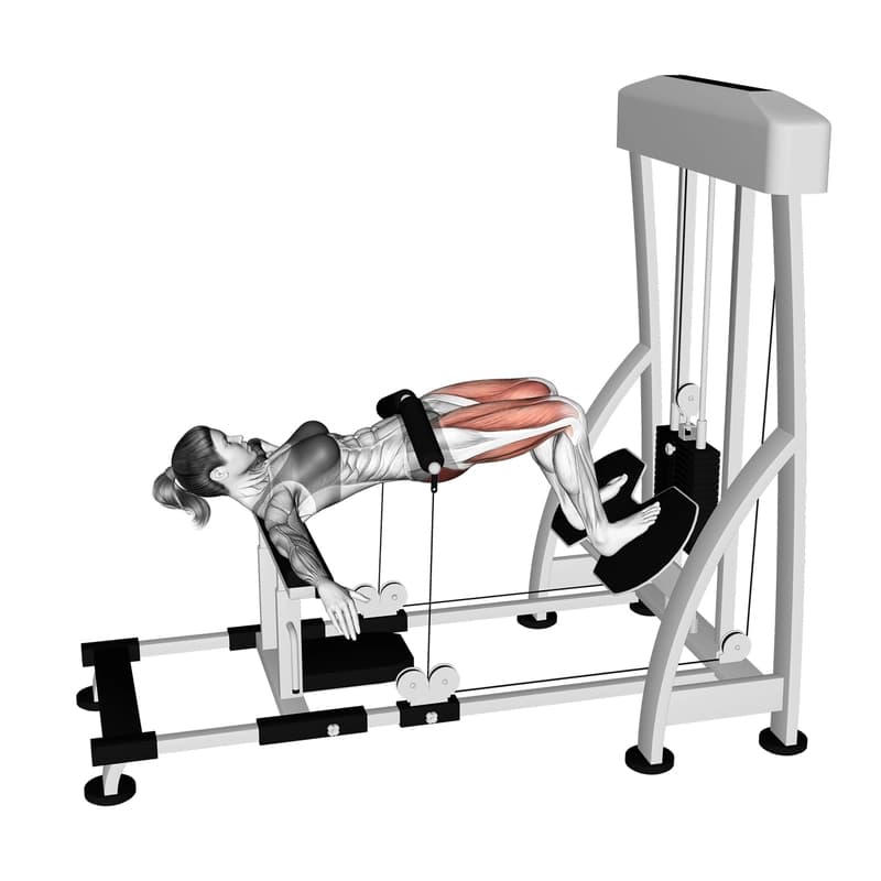 Exercise preview