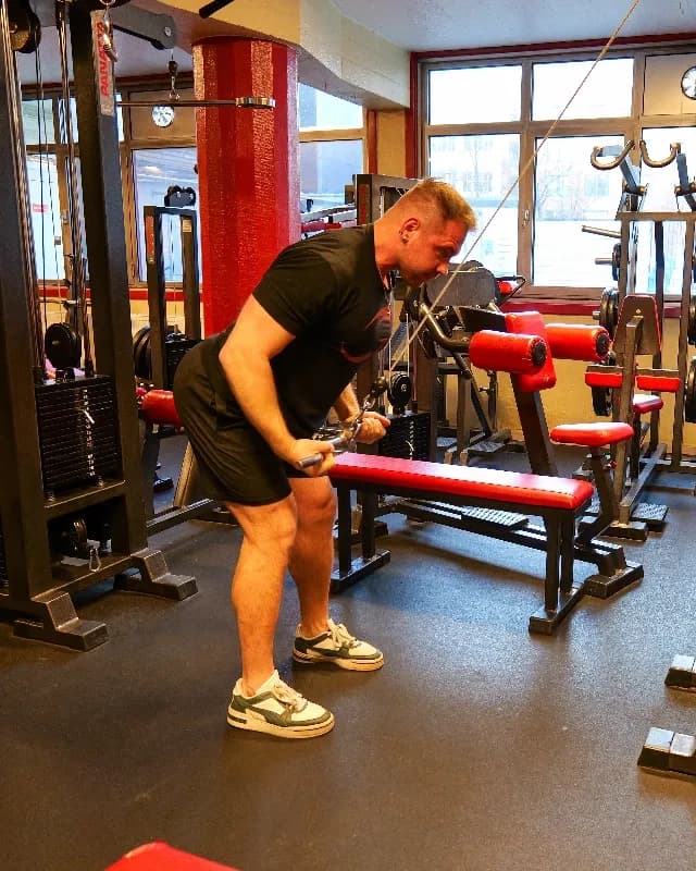 Exercise preview