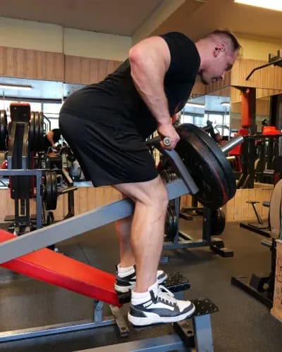 Exercise preview