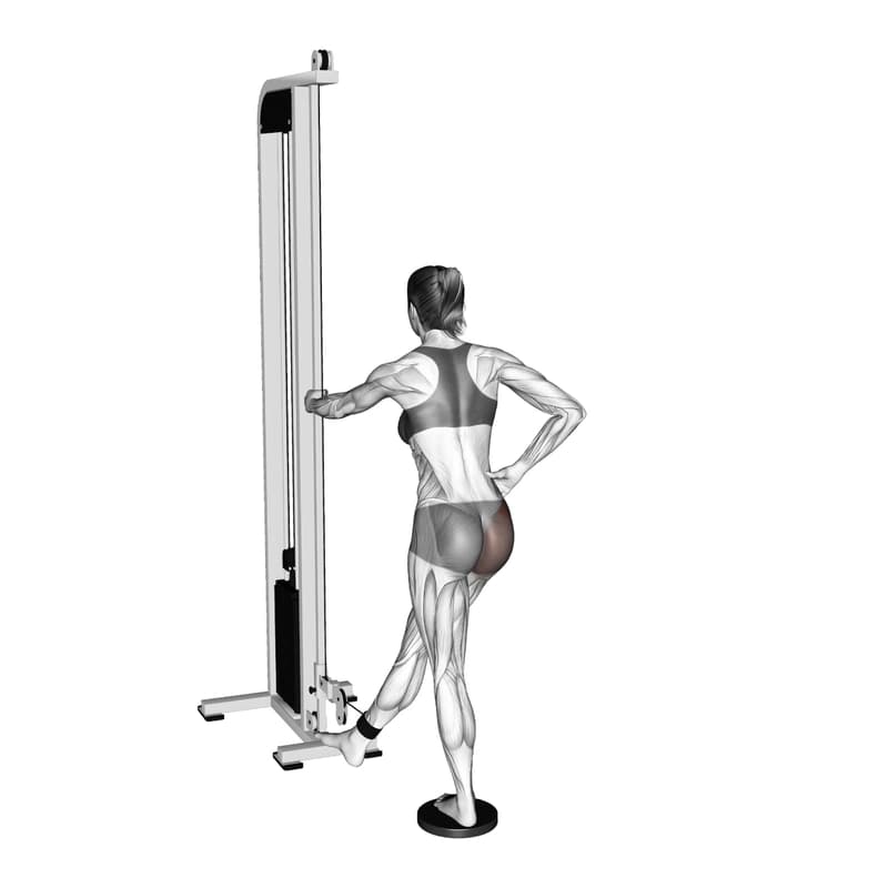 Exercise preview