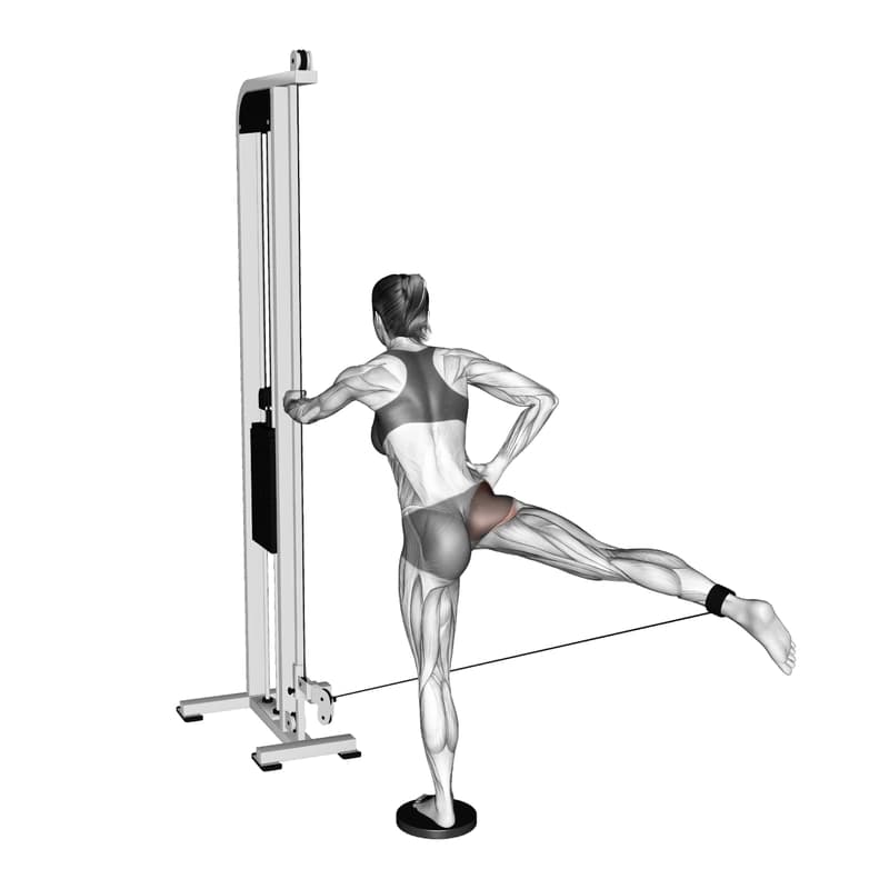 Exercise preview