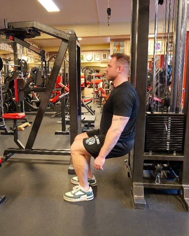 Exercise preview