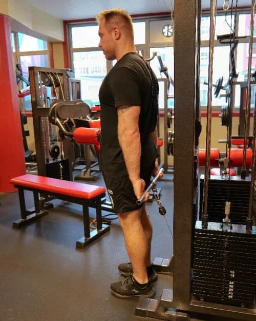 Exercise preview