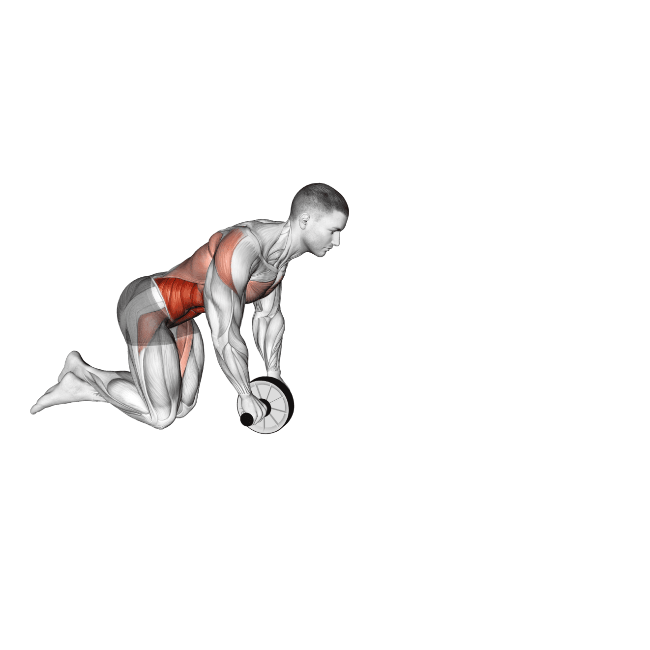 Ab Wheel Rollout with other - core exercise demonstration step 1