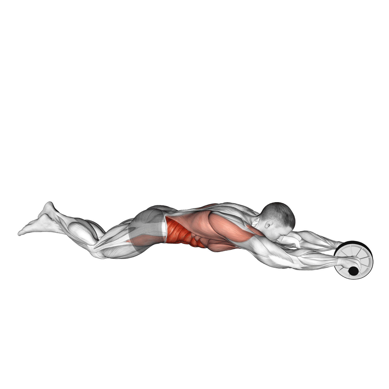 Ab Wheel Rollout with other - core exercise demonstration step 2
