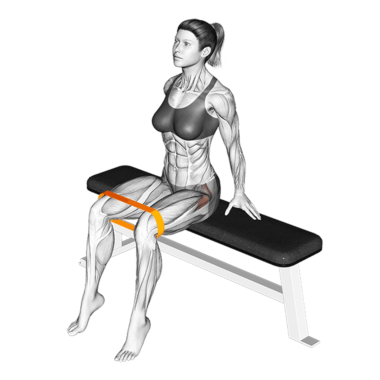Exercise preview
