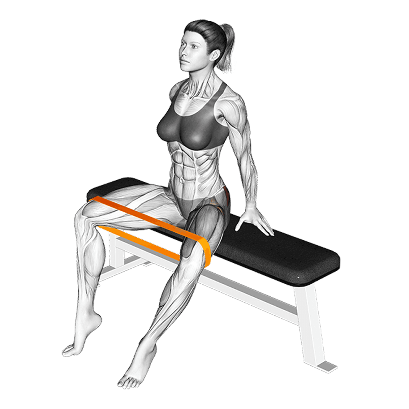 Exercise preview