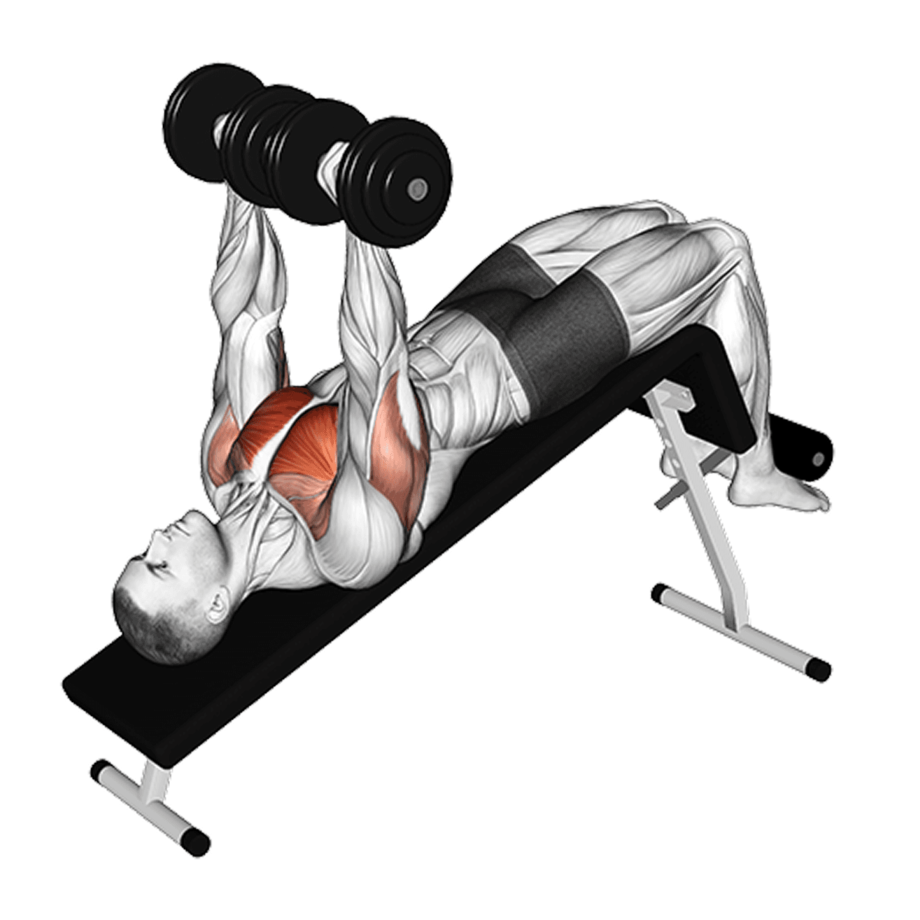 Exercise preview