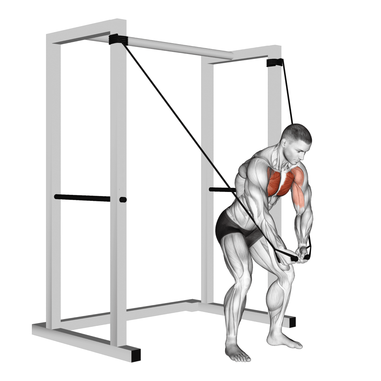 High Cable Fly with cable - chest exercise demonstration step 2