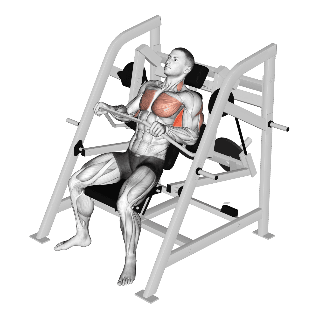Pullover Machine with machine - lats exercise demonstration step 2