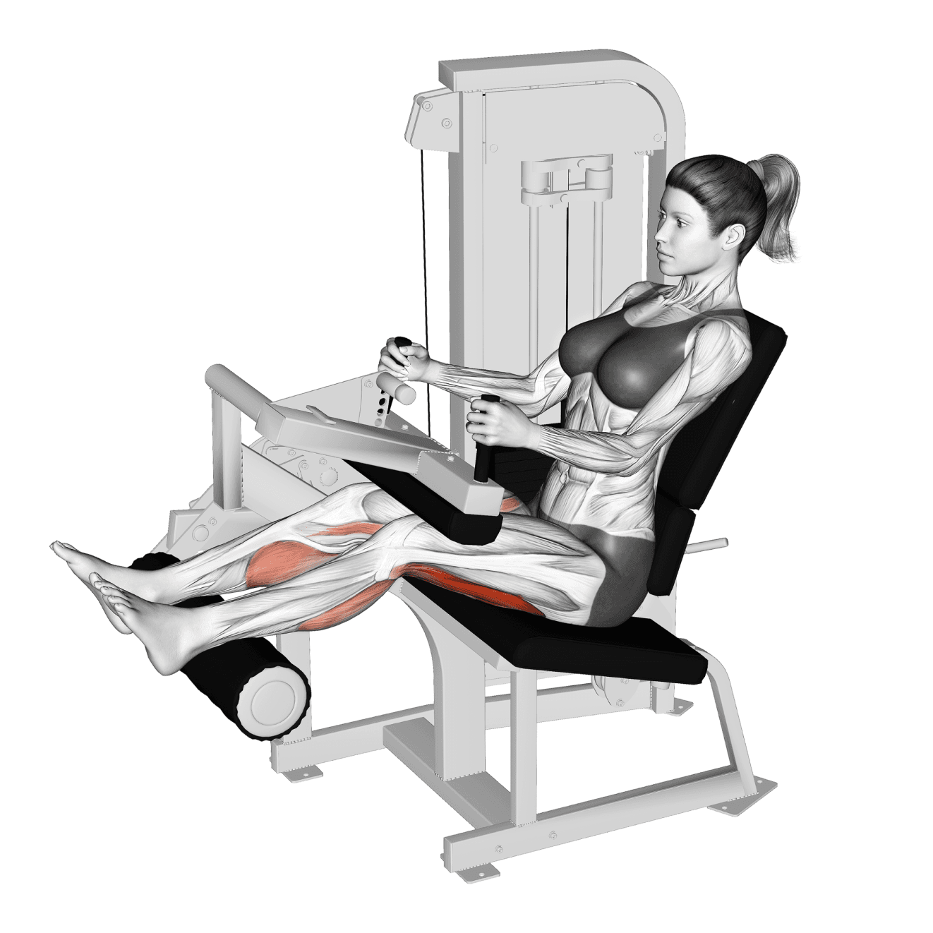Exercise preview