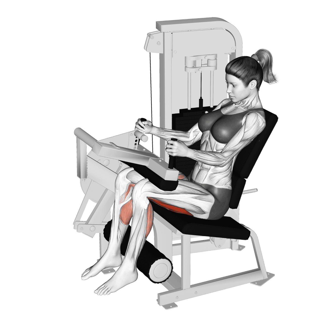 Exercise preview
