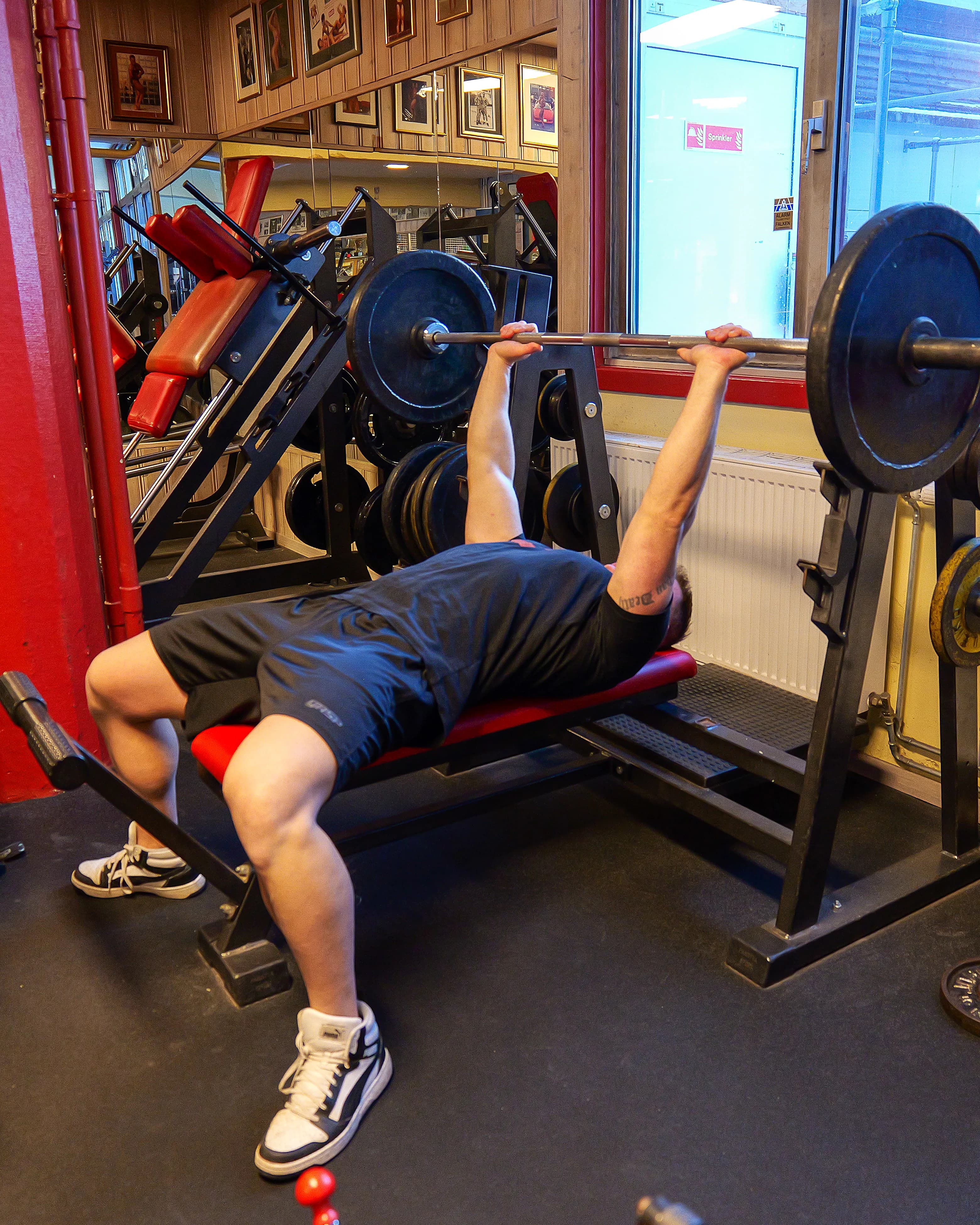 Exercise preview