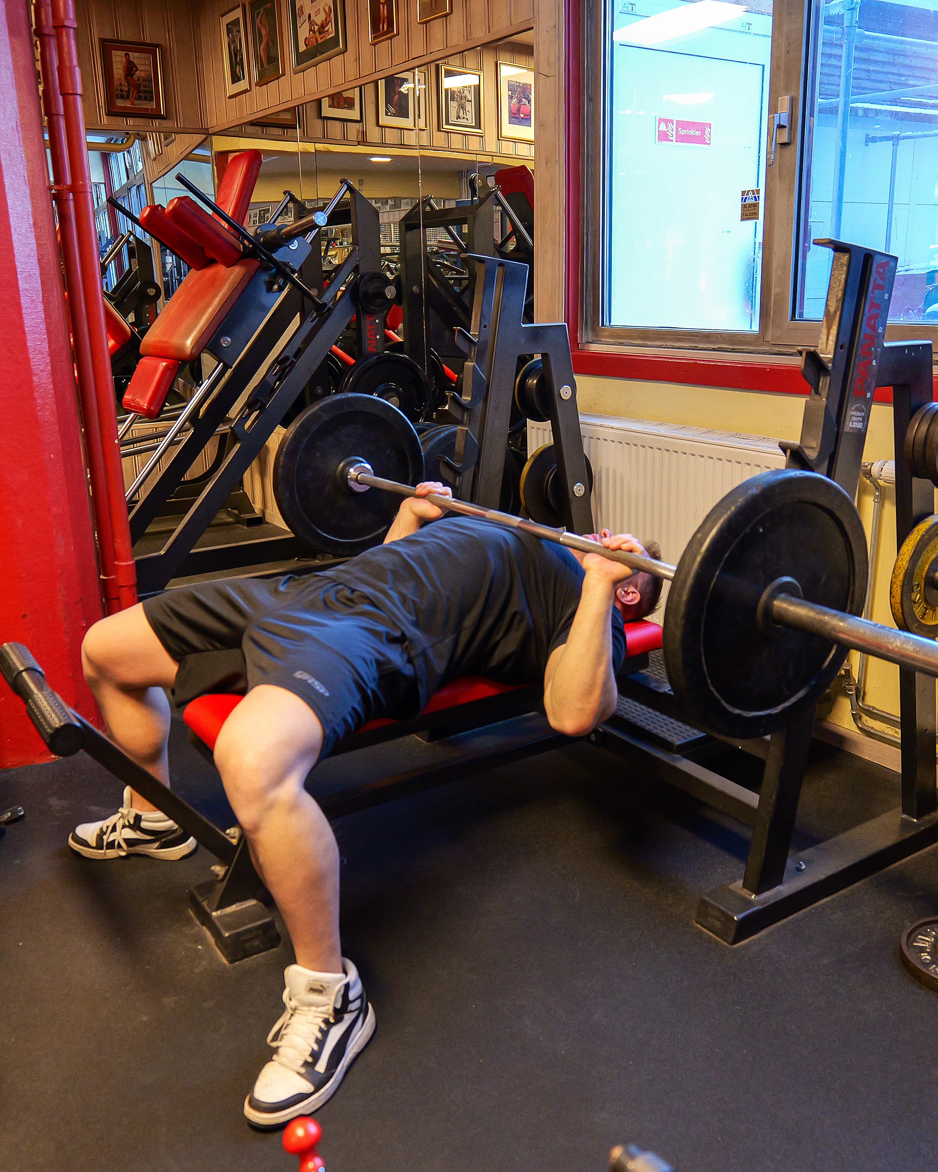 Exercise preview
